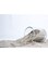 Light beige cream Coloured sand for crafts,terrarium projects, Landscaping, Outdoor D&eacute;cor-20kg