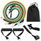Generic-11pcs Resistance Bands Set Workout Fintess Exercise Tube Bands Door Anchor Ankle Straps Cushioned Handles with Carry Bags for Home Gym Travel