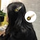 Aiwanto Hair Pin Hair Clips Flower Glittering Hair Accessories For Girls Kids (2Pcs)