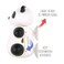 Flipper Panda Toothbrush Holder Multicolour