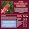 Creative Nature Oh Wow Cacao Chocolate Fruit Oat Bar 38g