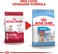 Royal Canin Shn Medium Puppy 4 Kg Size Health Nutrition Dog Food, Multicolor, 02Rcmed3, Medium Puppy Dog Dry Food
