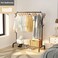 Neza Garment Cloth Rack Stand Clothing Rod Hatstand Single Rail With Side Hook Bottom Storage 110Cm Long For Shoes Clothes Jacket Umbrella Hats Scarf Handbags