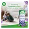 Air Wick Carpet Freshener Lavender 350g