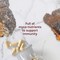 Host Defense Chaga Capsules, 60 Veg Caps