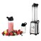 Zilan Eceltrical Inox Smoothie Blender Set