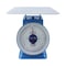 Generic Dial Spring Scale 30Kg