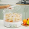 Food Dehydrator, 5pcs Tray, Adjustable Thermostat, OMFD2464, Four Heating Tubes, Dehydrate A Variety of Fruit, Vegetable, Meat or Traditional Herbal Medicinal Materials