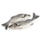 Fresh Sea Bass Whole