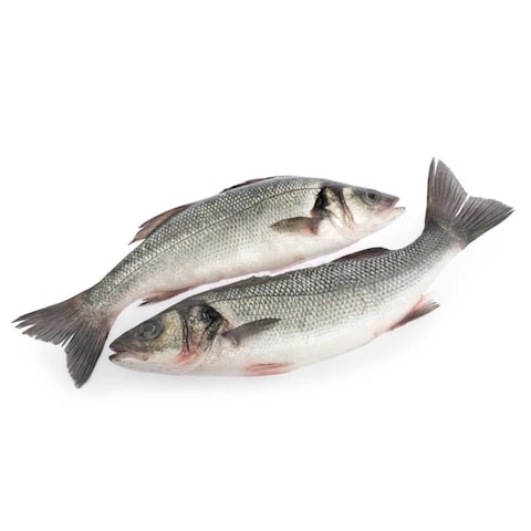 Fresh Sea Bass Whole