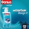 Sanita Hand Wash Mountain breeze 250 ML