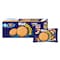 Nabil Biscuits Nutgestive Almond And Cashew 40g x 6 Pieces