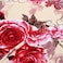 LUNA HOME Fleece Blanket 200*230cm Super Soft Throw Cream color with Rose Design.