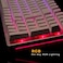 Glorious Gaming Keyboard - GMMK 2 - TKL Hot Swappable Mechanical Keyboard, Prebuilt, Red Switches, Wired, TKL Gaming Keyboard, Compact Keyboard - Full Size Keyboard (Pink Keyboard)