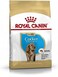 Royal Canin Bhn Cocker Puppy 3 Kg Breed Health Nutrition Dog Food, Multicolor, Cocker Puppy Dog Dry Food