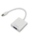 Generic Mini Display Thunderbolt Adapter To VGA Port, White