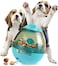 Vsell24 Cats And Dogs Interactive Food Dispensing Tumbler Treat Dispensing Toy Self Food Feeder For Small Medium Pets Blue