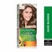 Garnier Color Naturals Cr&egrave;me Hair Color (Dark Blonde 6)