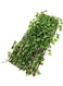 Expandable Wicker Fence With Faux Plants Green/Brown 1.20meter