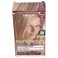 Dikson Pop Cream Color Permanent Hair Color Cream 800 8N Light Blond New Applicator Comb