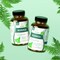Gardeno Nuturing Life Moringa Oleifera Powder Capsules With Saponins, Energizing Green Superfood Antioxidant  100% Pure Leaf Formula &ndash; 60 Capsules