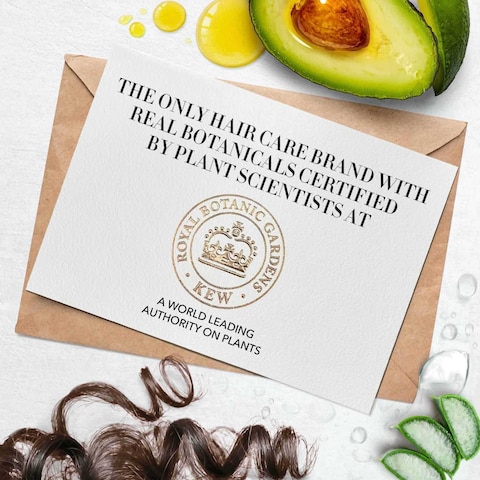 Herbal Essences Sulfate-Free Aloe + Avocado Oil Hair Mask for Curl Moisturizing and Nourishment 250ml