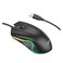 Mouse GM 19 Hoco