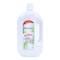 Carrefour antiseptic disinfectant 2 L