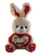 Child Toy Non-Toxic Stuffed And Plush Soft Bunny Rabbit