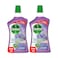 Dettol Antibacterial Floor Cleaner Lavender Scent 900mlx2 pieces