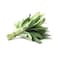Sage Bunch African