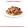 Royal Canin Feline Health Nutrition Intense Beauty Wet Cat Food (Chunks in Gravy, Adult Cats, 85 g)