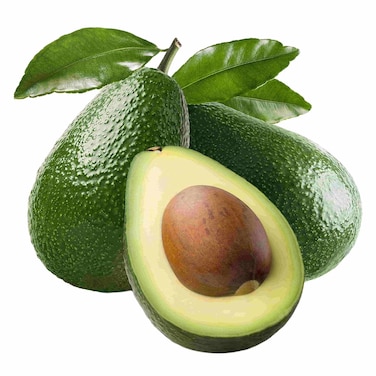 Avocado 