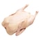 Fresh Duck Whole