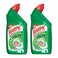 Harpic toilet cleaner pine 500 ml x 2 - 30% off