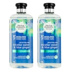 Buy Herbal Essences bio:renew Purify Micellar Water   Blue Ginger Shampoo 400mlx2 in Kuwait