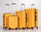 VIPTOUR Set of 4 ABS Trolley Luggage With Number Lock 20,24,28,32 Inches