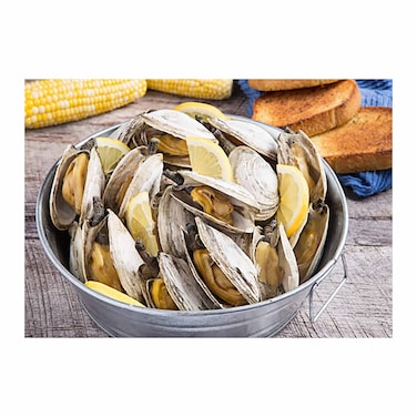Clams