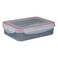 Gab Red Rectangular Food Container 1150ML