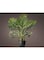 Kaemingk outdoor Micro LED plant lights steady -warm white