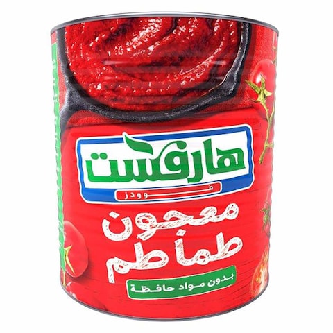 هارفست صلصة طماطم - 2.8 كجم