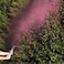 Pink Gender Reveal Smoke Cannon with Confetti