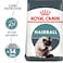 Feline Care Nutrition Hairball Care 4 KG