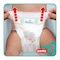 Pampers Baby Pants Diapers, 6 Extra Large, 16+ kg - 48 Diapers