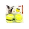 Tyrol Tennis Ball Mint Dog Toy