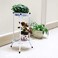 Doreen Flower Herbs Holder Metal Plant Stand Garden 2-Tier Heavy Duty Plant Stand &amp; Flower Pot Holder Garden | Modern Indoor &amp; Outdoor Home D&eacute;cor | Weather Resistant White Display Shelf(GC1217A)