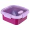 Curver Smart to Go Lunch Box - 0.9 Liter - Purple