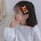 Aiwanto 3Pack Hair Clips for Kids Girl'r Hair Accessories