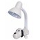 SIGMA DESK LAMP, PORTABLE ELECTRIC INDOOR READING LAMP BCL 0408