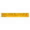 Shan Split Red Grain Masoor Dal 500g
